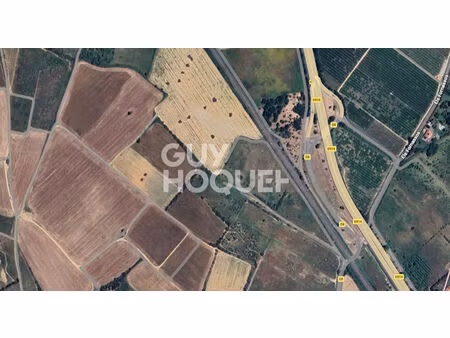 vente terrain 8412 m² villeneuve-de-la-raho (66180)