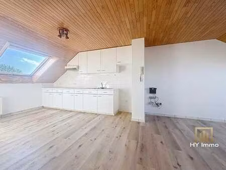 a louer - appartement de 53m² avec 1 chambre - faibles charg