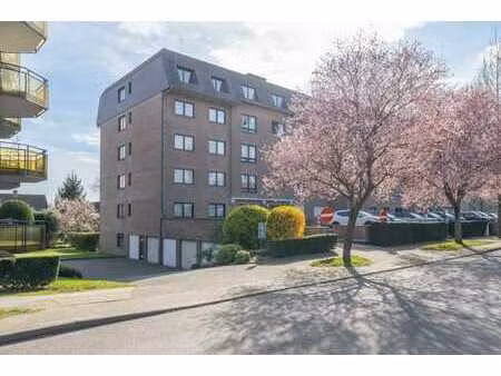 centre - spacieux appartement 3ch avec terrasse sud - garage