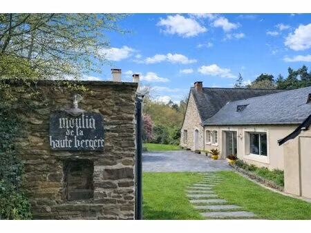 domaine d'exception avec moulin du xvi siècle entièrement rénové  env 330 m² habitables -.