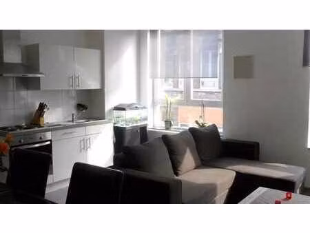 appartement rénové 1 chambre