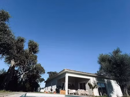 vente maison 6 pièces 168 m² à ventiseri (20240)  499 000 €
