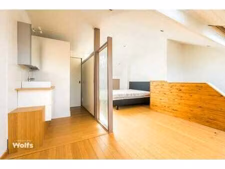 volumineuse maison en plein centre avec cour et terrasse !