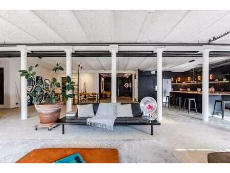 loft 4 ch. avec terrasse et parking le long du canal