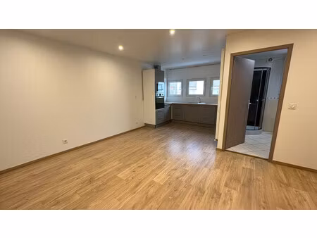 immobilier professionnel à vendre annemasse
