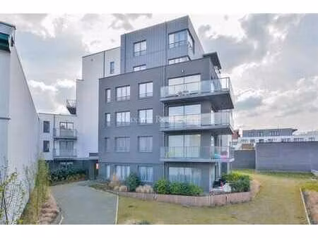 calme entre la vub et pétillon