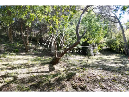 annonce terrain à vendre