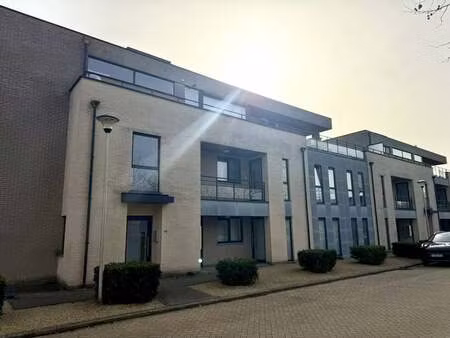 appartement à louer à bilzen € 790 (lm5it) - dewaele - hasselt verhuur | zimmo