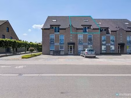appartement à louer à bilzen € 875 (lm6ji) - matisimmo | zimmo