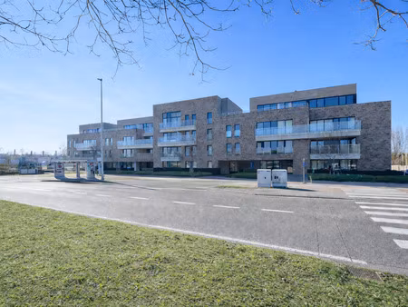 appartement à louer à zwijnaarde € 870 (lm6i0) - immo da vinci gent | zimmo