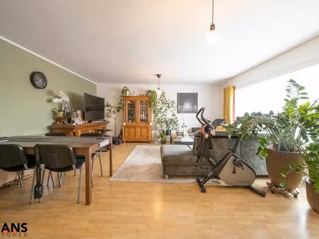 appartement à louer à borsbeek € 1.200 (lm56f) - hans vastgoed | zimmo