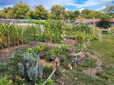 parcelles de terrain potager