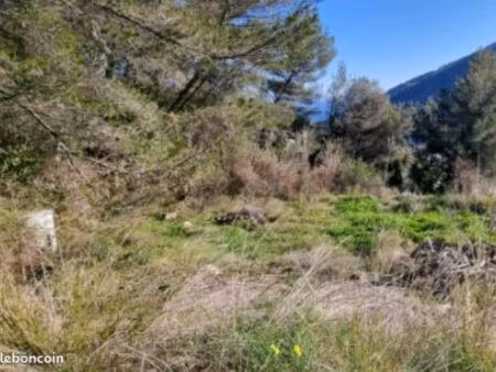 terrain 1 550m2 gorbio