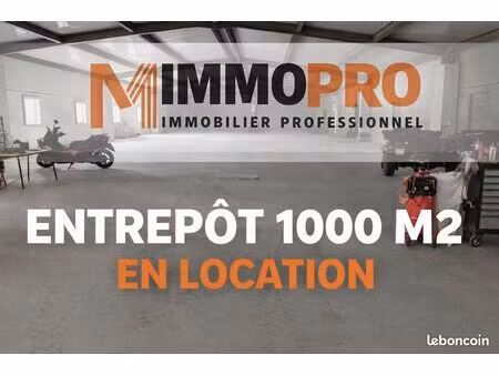 entrepôt 1000 m² contes