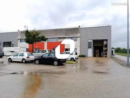 local d'activité 493 m²