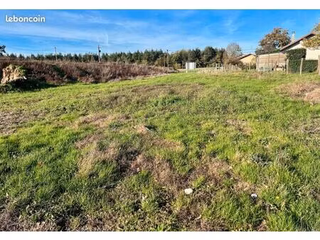 terrain 603 m² attignat