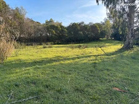 terrain 1 300 m² frejus