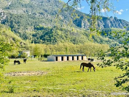 vente propriété équestre 7 hectares   plat à entrevaux   45 min de nice lingostiere   1h15