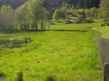 terrain à bâtir au tholy (le rain-brice) sur axe épinal /gérardmer 4185 m2