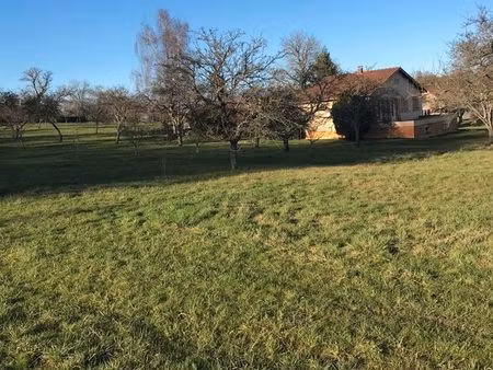 terrain constuctible