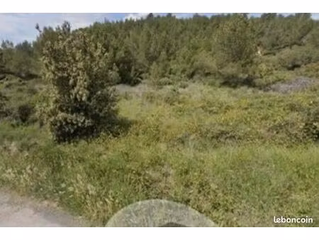 vinassan pinède zone naturelle très accessible bordure de route