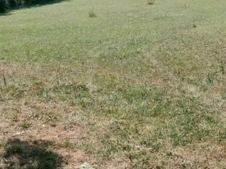 terrain très bien placé