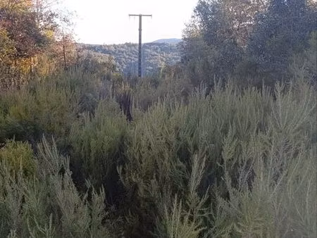 cherche terrain de loisirs