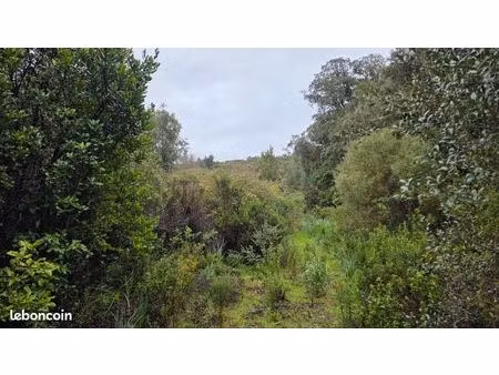 projet villa neuve a pietrosella