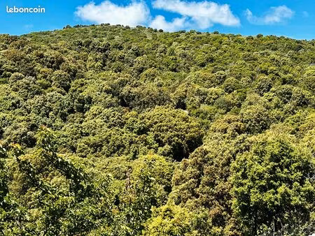 terrain 23704 m² appietto