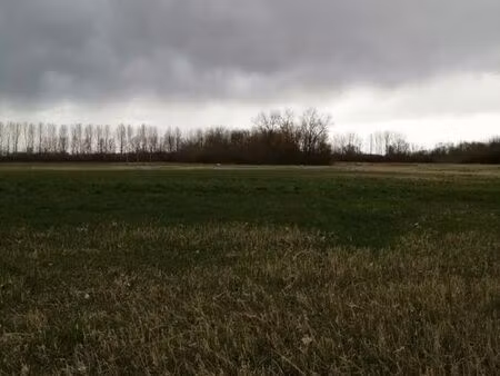 terrain de loisir bois