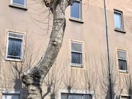 locaux bureaux a louer