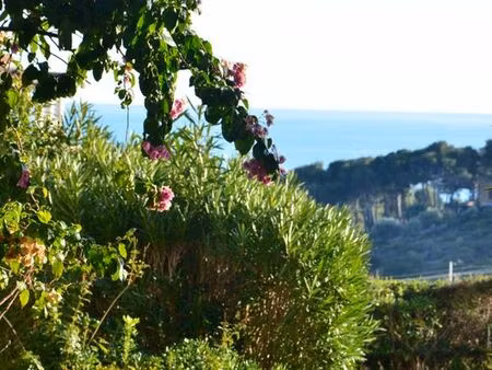 local professionnel ou commercial