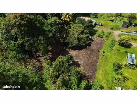 grand terrain pres du jardin de balata