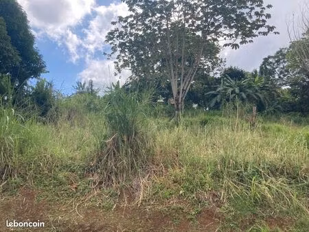 terrain 1 424 m² saint esprit