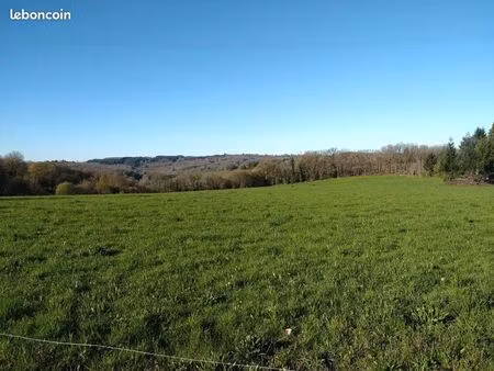 terrain constructible