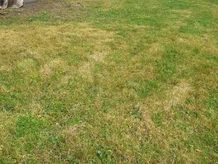 vend terrain de 192 m2 le plant