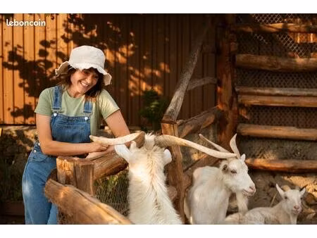 recherche ancien corps de ferme secteur dordogne