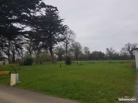 terrain constructible