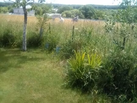 maison style contemporain avec teraain de 2000 m2 constructible plus 2 grands locaux dont 