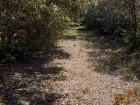 terrain 1 031 m² montsegur sur lauzon