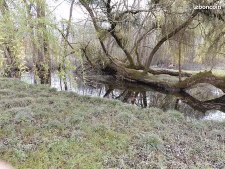1900m2 de marais sur bourges