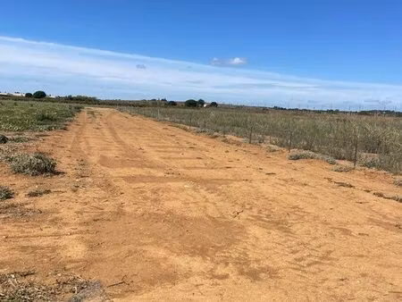 terrain agricole mauguio