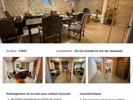 local professionnel 115 m²