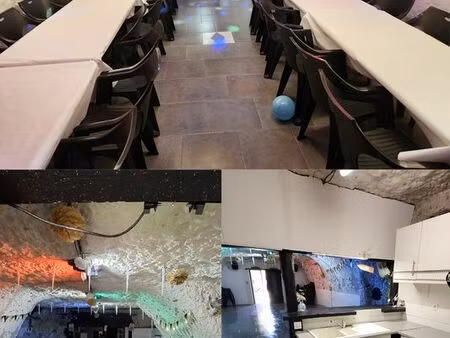 a vendre cave festive - salle des fêtes - love room - chambre d'hôtes