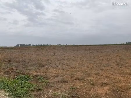 terrain 267 m² montady