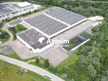 local 34841 m² rochefort-sur-nenon