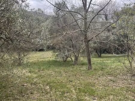terrain 880 m² clermont l'herault