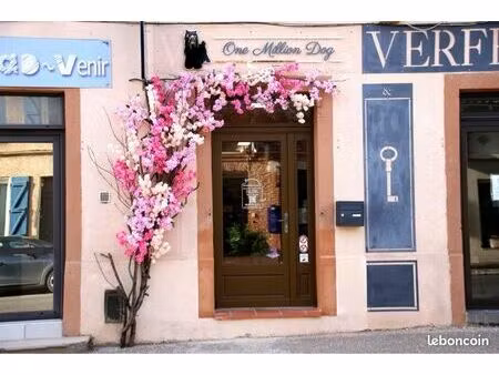 fond de commerce salon de toilettage