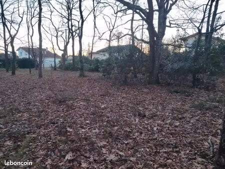 terrain 556 m² mont de marsan