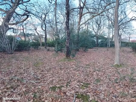 terrain 560 m² mont de marsan